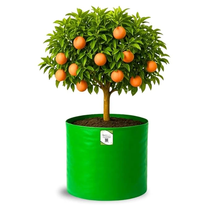 Grow Bag for Fruit Plants ORGANIC BAZAR 18x18 Big Size Grow Bag for Fruit Plants, Premium HDPE 260 GSM Green Plant Bags (Pack of 1)